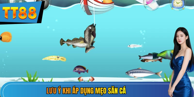 Lưu ý khi áp dụng mẹo săn cá